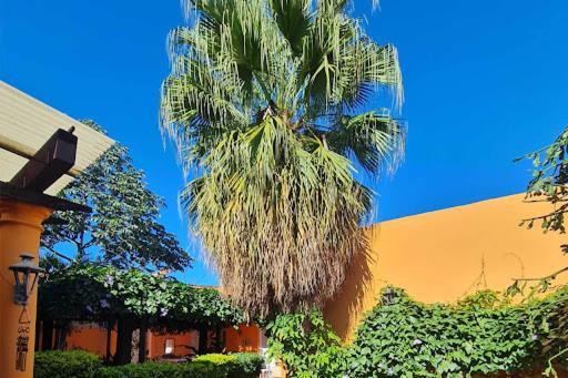 Hostal Paradiso Hotel Asuncion Exterior photo